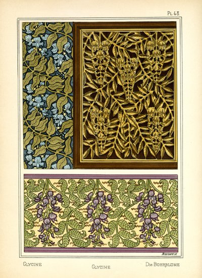 La Glicine da A. Poidevin